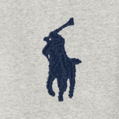 Polo Ralph Lauren – Grå collegegenser med brodert hest – Gutt – 8–20 år