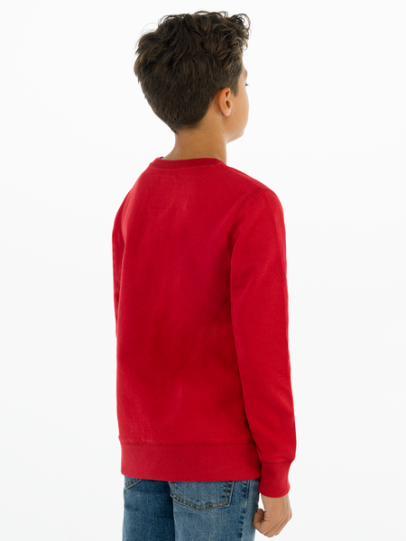 Levis crewneck