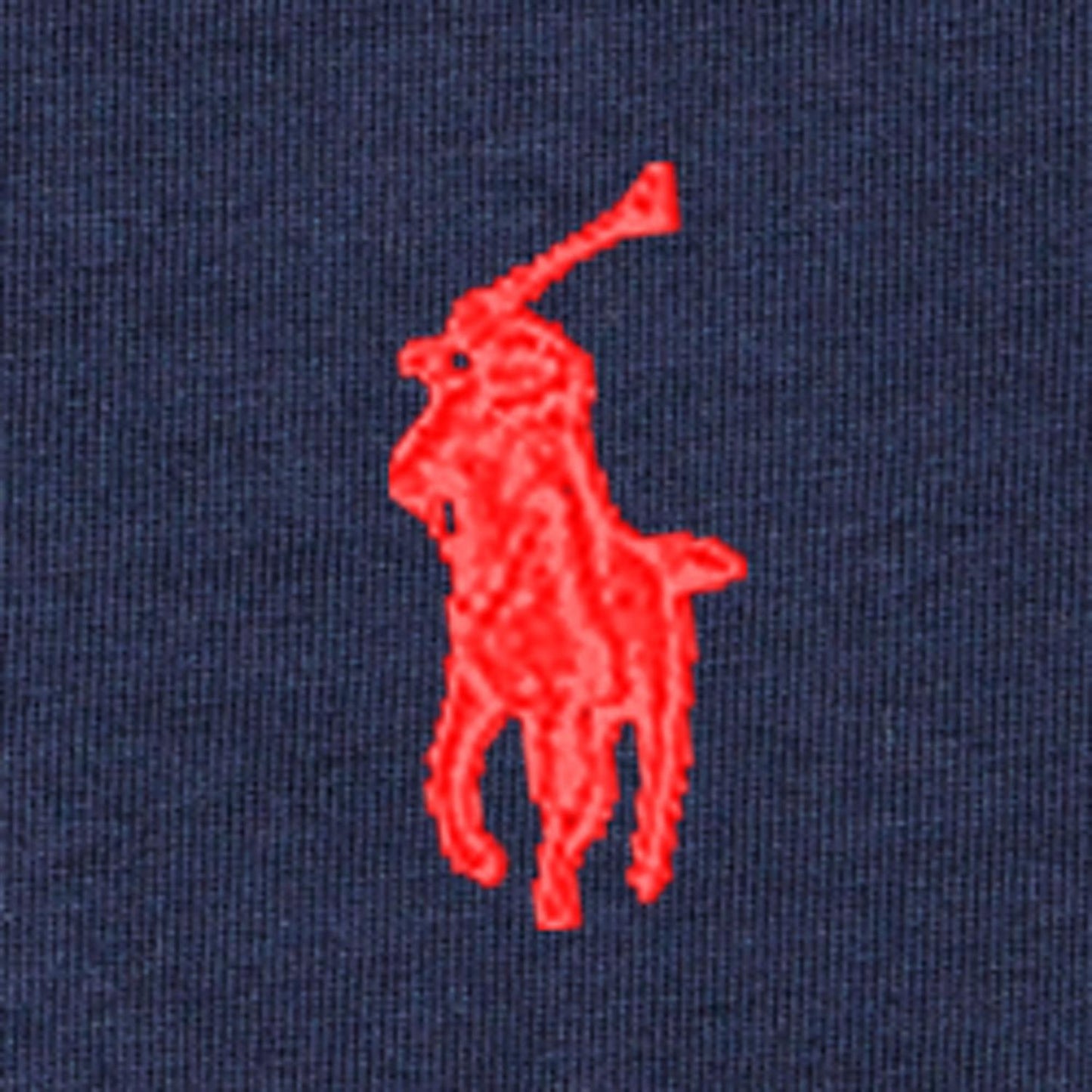 Polo Ralph Lauren - Long-Sleeve Tee - Blå - 12-24 mnd
