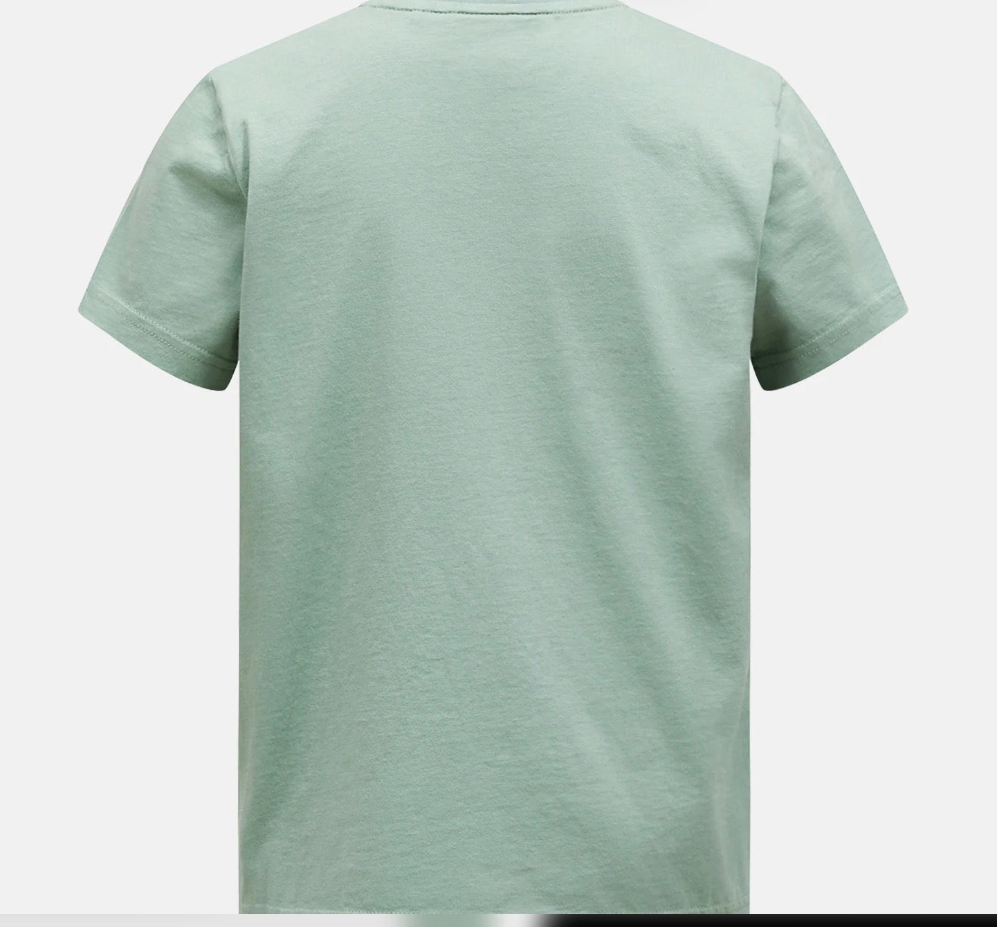 Peak Performance – T-skjorte med brodert logo – Lysgrønn – Unisex – 10-15 år