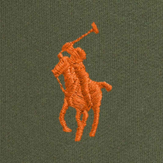 Grønn college hettegenser med rød Polo-hest fra Polo Ralph Lauren – unisex